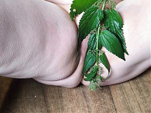 Labia torture with nettles... - wide spread legs